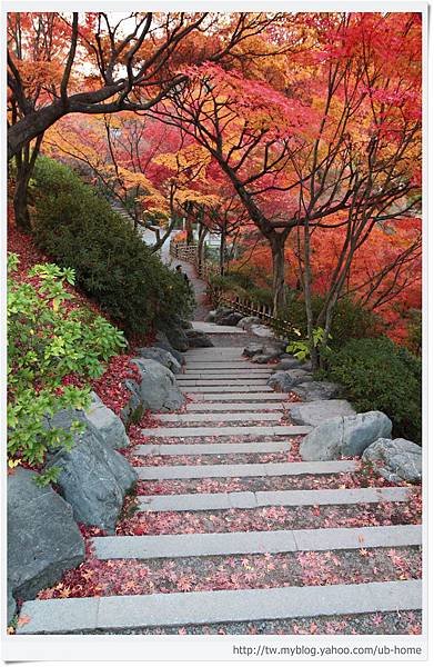 東福寺-通天橋下的石階-1.jpg