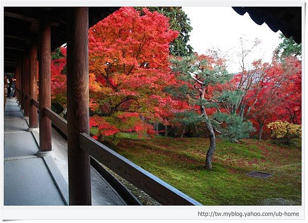 東福寺-通天橋外-1.jpg