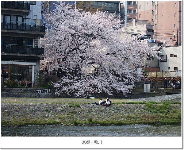 鴨川-五條至四條間情侶