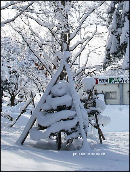 羊蹄山-植物積雪.JPG