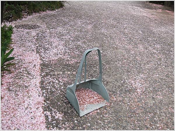 哲學之道-道路畚斗.JPG