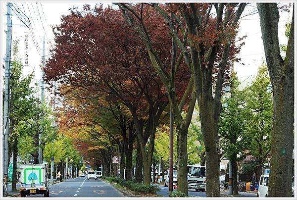 京都-一乘寺-白川通-1.jpg