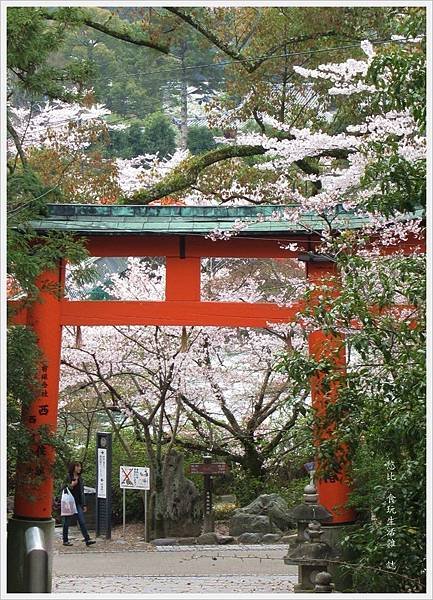 宇治-宇治神社-1.JPG