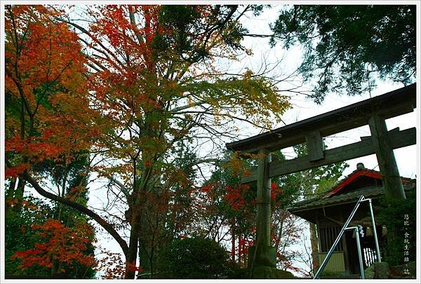 阿蘇神社-矢村社-1.JPG