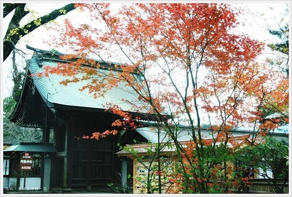 阿蘇神社-御幸門前紅葉.JPG