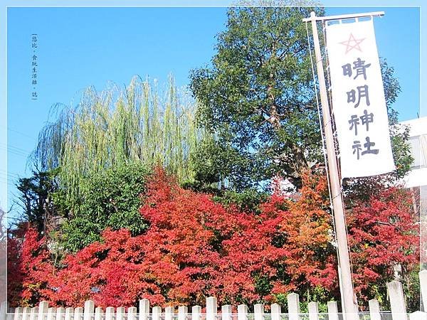 Cafe Rhinebeck-晴明神社.JPG