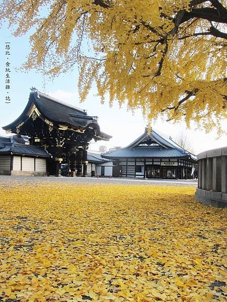 西本願寺-阿彌陀堂門與銀杏-1.JPG