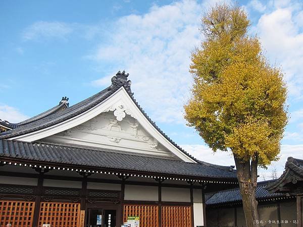 東本願寺-銀杏-1.JPG