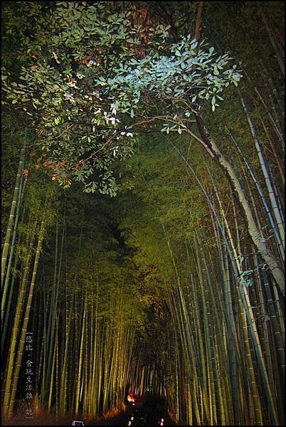 嵐山-竹林-11.JPG
