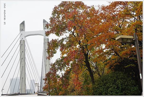 木場公園-39-木場公園大橋.JPG