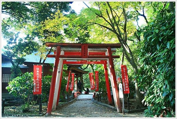 福岡-住吉神社-11-惠比須神社.JPG