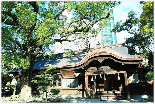 福岡-住吉神社-21-社務所.JPG