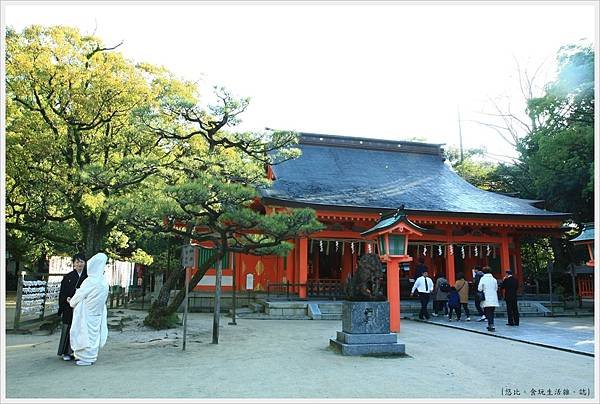 福岡-住吉神社-23-本殿.JPG