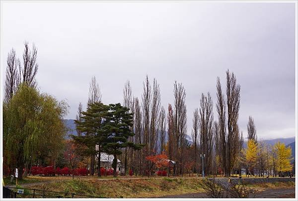 河口湖-大池公園-1.JPG