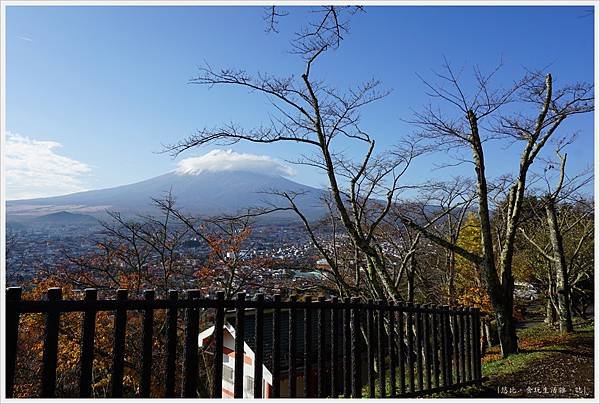 新倉山淺間公園-36-富士山.JPG