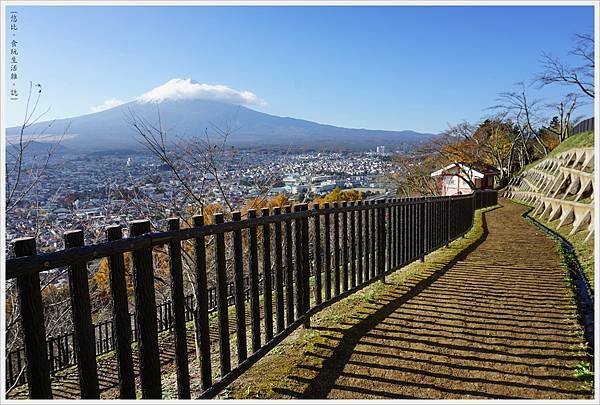 新倉山淺間公園-74.JPG