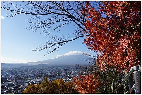 新倉山淺間公園-78-富士山.JPG