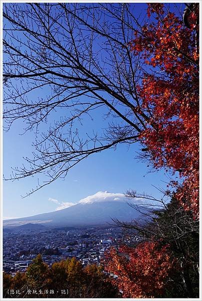 新倉山淺間公園-79-富士山.JPG