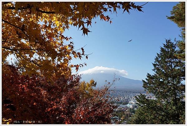 新倉山淺間公園-80-富士山.JPG