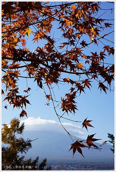 新倉山淺間公園-82-富士山.JPG