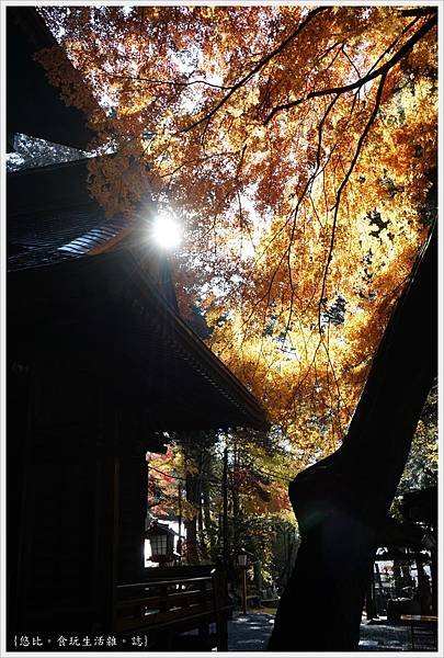 新倉山淺間公園-95-新倉富士淺間神社.JPG