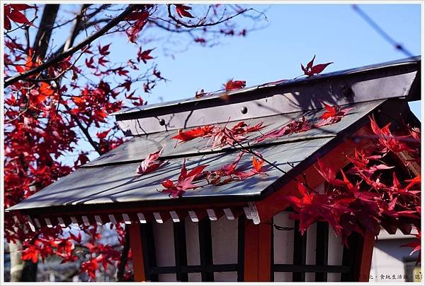 新倉山淺間公園-107-新倉富士淺間神社.JPG