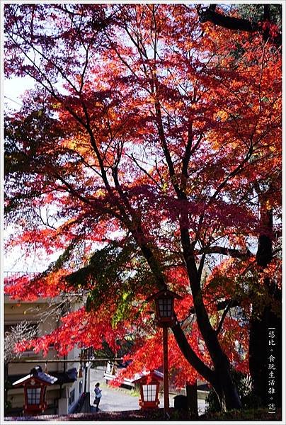 新倉山淺間公園-108-新倉富士淺間神社.JPG