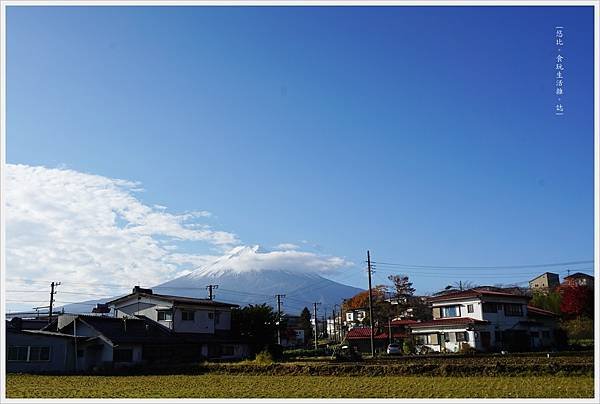 下吉田-16-富士山.JPG