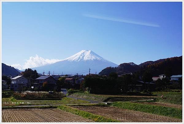 下吉田-50-富士山.JPG