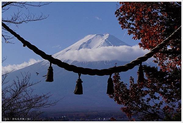 新倉山淺間公園-116