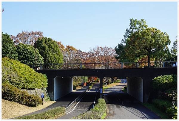 昭和紀念公園-8-自行車道.JPG