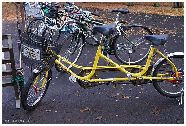 昭和紀念公園-13-1-兩人自行車.JPG