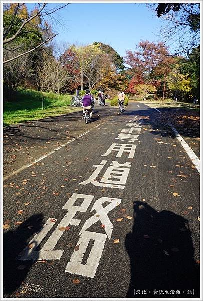 昭和紀念公園-20-自行車專用道.JPG