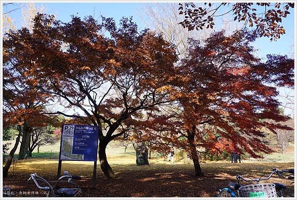 昭和紀念公園-27-紅葉.JPG