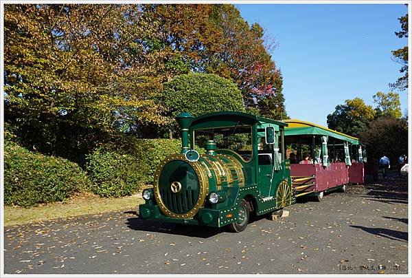 昭和紀念公園-30-遊園小火車.JPG