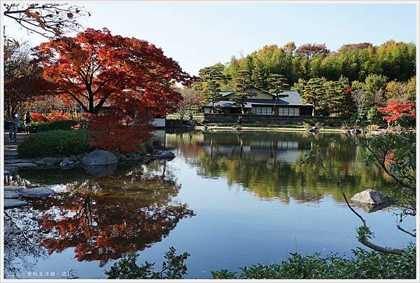 昭和紀念公園-44-日本庭園.JPG