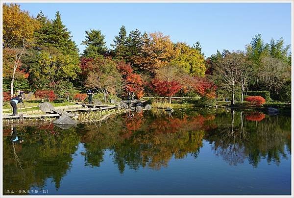 昭和紀念公園-55-日本庭園-龜島.JPG