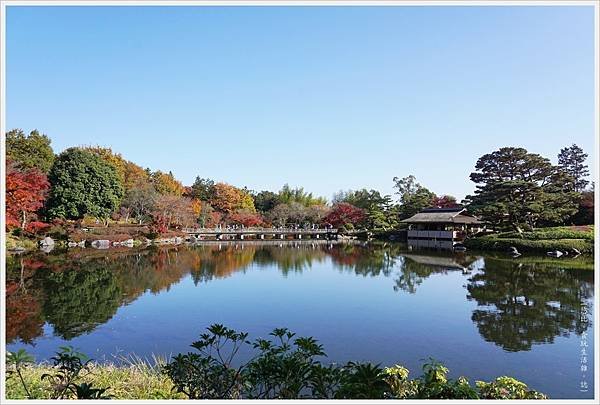 昭和紀念公園-65-日本庭園.JPG