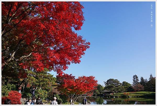 昭和紀念公園-69-日本庭園.JPG