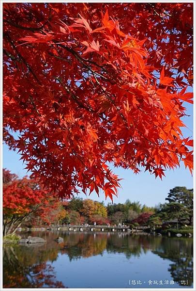 昭和紀念公園-73-日本庭園.JPG