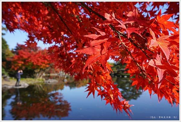 昭和紀念公園-72-日本庭園.JPG