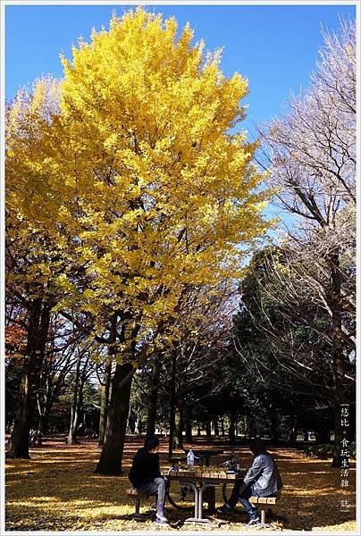 代代木公園-21.JPG