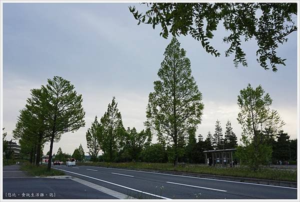精華町-105-京阪奈紀念公園.JPG