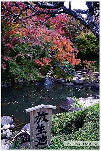 鎌倉-149-長谷寺.JPG