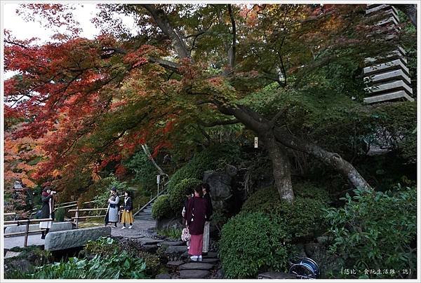 鎌倉-166-長谷寺.JPG