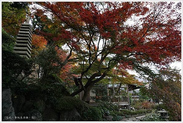 鎌倉-167-長谷寺.JPG