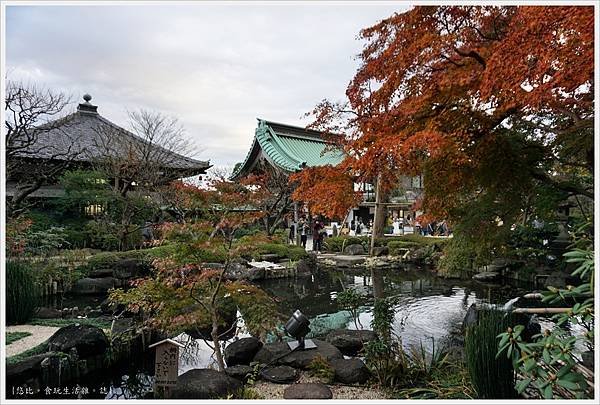 鎌倉-168-長谷寺.JPG