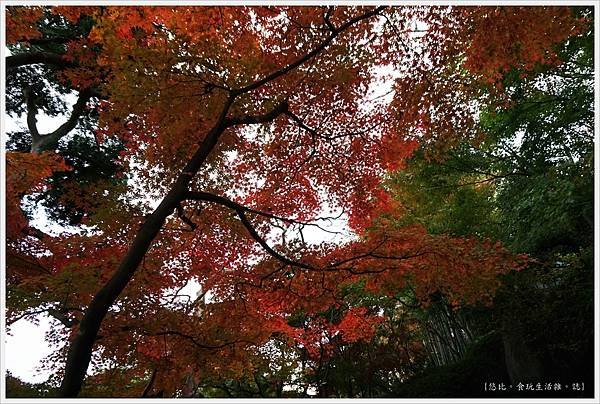 鎌倉-170-長谷寺.JPG