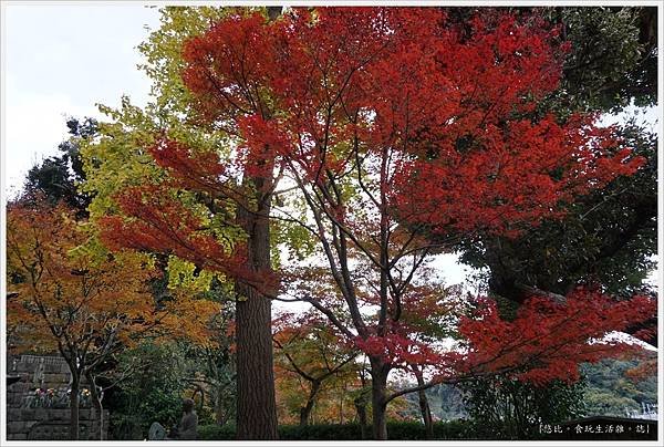 鎌倉-171-長谷寺.JPG