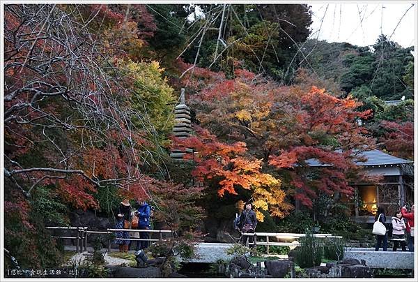 鎌倉-216-長谷寺.JPG